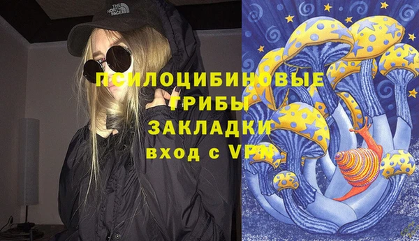 PSILOCYBIN Балахна